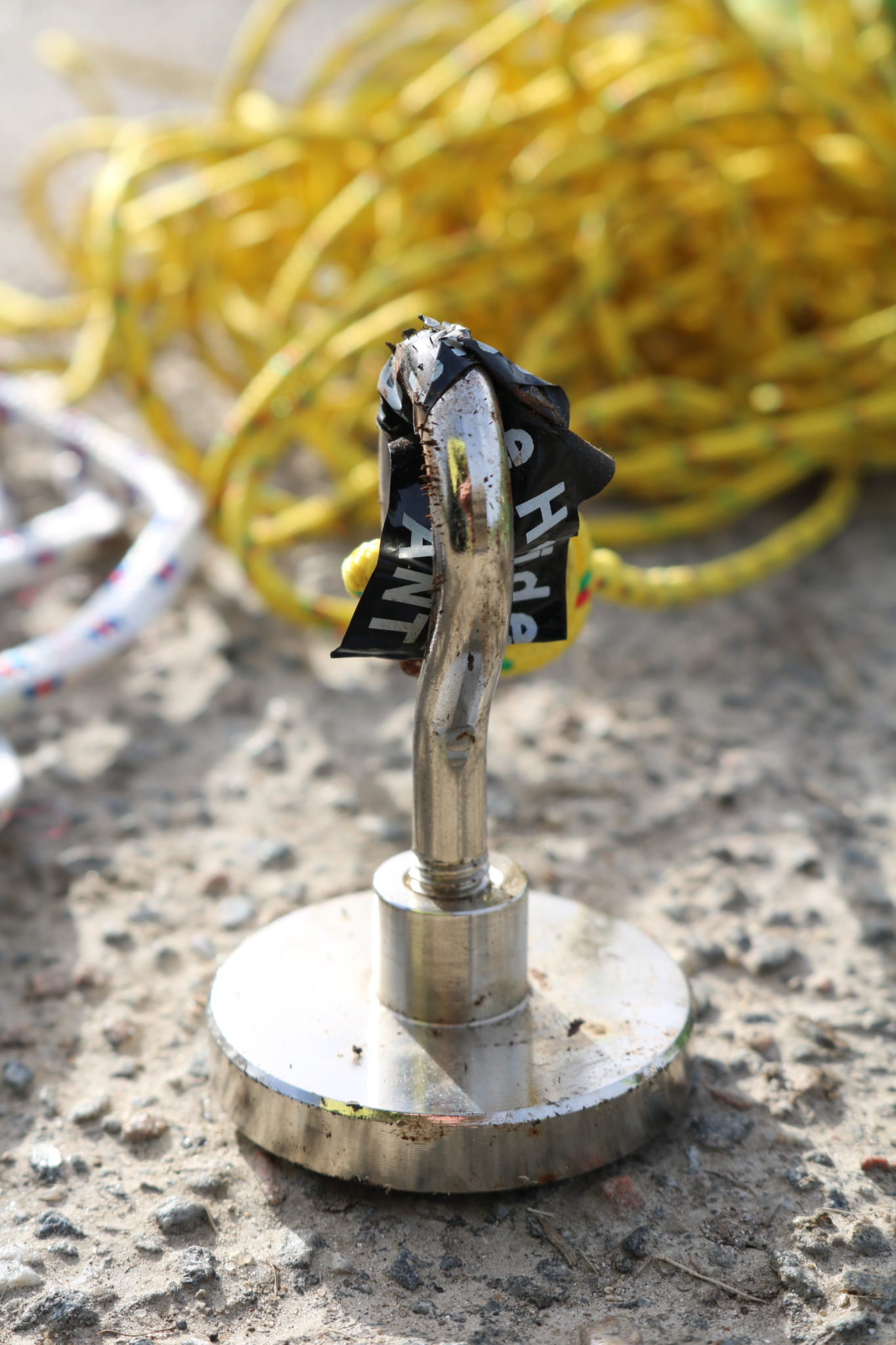 Everything you need to know about fishing